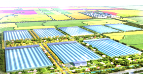 芭乐视频APP下载IOS下载网站企业新闻