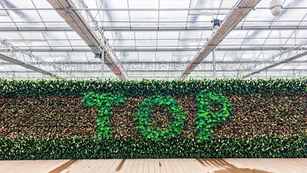 芭乐视频APP下载IOS下载网站全自动托管智能温室大棚 芭乐视频APP下载IOS下载网站全自动托管智能温室大棚