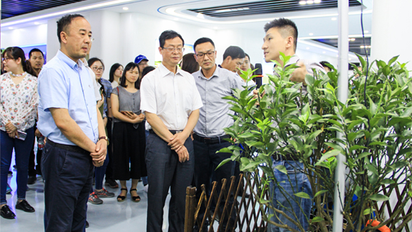 谢主任一行参观芭乐视频APP下载IOS下载网站展厅 谢主任一行参观芭乐视频APP下载IOS下载网站展厅