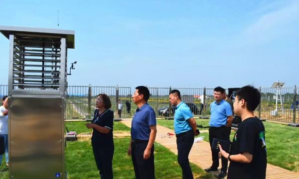 姚县长在贾村乡病虫监测点对诱到的成虫进行查看和询问 姚县长在贾村乡病虫监测点对诱到的成虫进行查看和询问