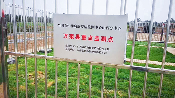 万荣农作物病虫疫情重点监测站 万荣农作物病虫疫情重点监测站