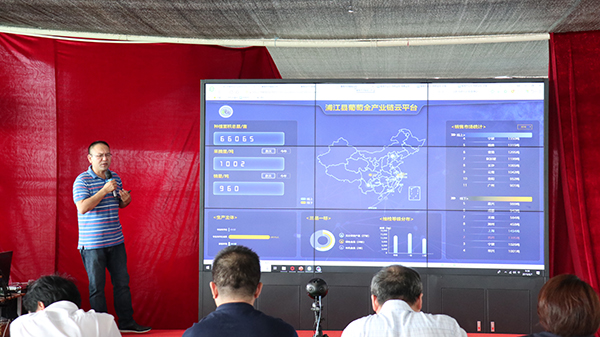 浙江森特浦江县葡萄全产业链云平台展示 浙江森特浦江县葡萄全产业链云平台展示