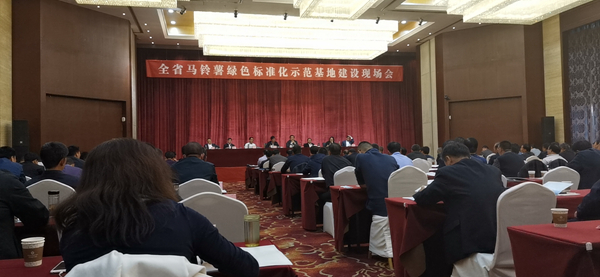 甘肃省全省马铃薯绿色标准化示范基地建设现场会在定西市安定区召开 甘肃省全省马铃薯绿色标准化示范基地建设现场会在定西市安定区召开