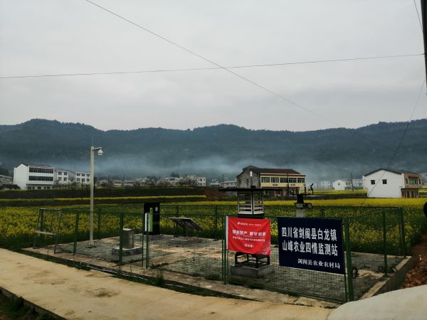 芭乐视频APP下载IOS下载网站病虫害监测点 芭乐视频APP下载IOS下载网站病虫害监测点