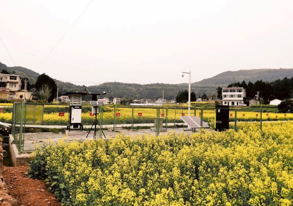 芭乐视频APP下载IOS下载网站病虫害监测点 芭乐视频APP下载IOS下载网站病虫害监测点