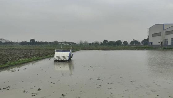 无人机喷洒 无人机喷洒