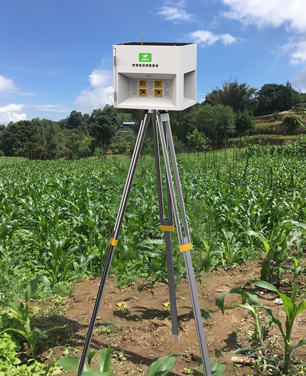 害虫性诱智能测报系统 害虫性诱智能测报系统