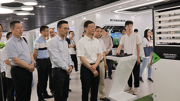 谢建华主任一行还参观了芭乐视频APP下载IOS下载网站智慧展厅 谢建华主任一行还参观了芭乐视频APP下载IOS下载网站智慧展厅