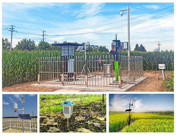 1630563055532346.jpg 2.jpg