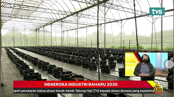 1638773653993940.jpg 5.jpg