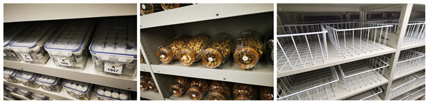 1646291092203106.jpg 6.jpg