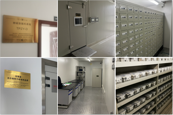 1650244415501858.png 芭乐视频APP下载IOS下载网站种质资源库案例.png