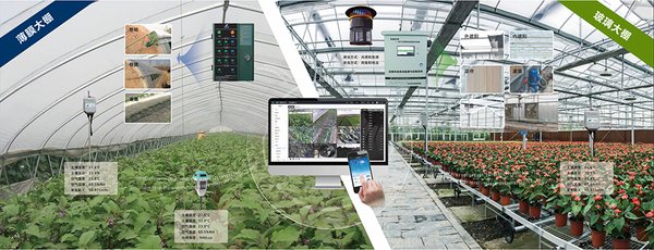 芭乐视频APP下载IOS下载网站设施农业创新应用基地 芭乐视频APP下载IOS下载网站设施农业创新应用基地