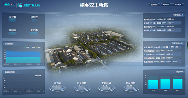 芭乐视频APP下载IOS下载网站打造的“生猪精密智管”社会化服务应用 芭乐视频APP下载IOS下载网站打造的“生猪精密智管”社会化服务应用