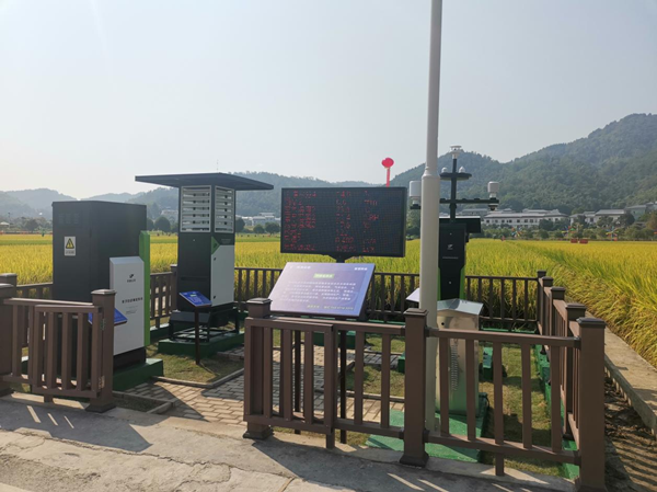 芭乐视频APP下载IOS下载网站农作物病虫害监测点 芭乐视频APP下载IOS下载网站农作物病虫害监测点