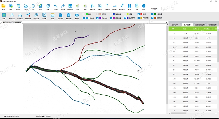 拓扑分析 拓扑分析