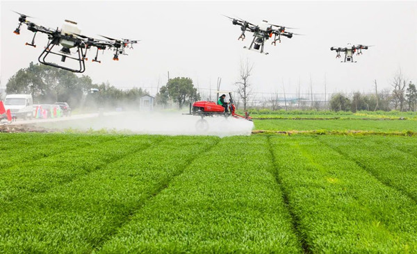 宁波海曙古林数字大田 宁波海曙古林数字大田