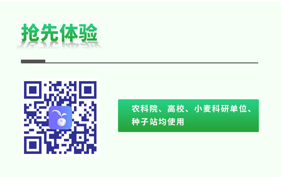 大豆表型检测仪 大豆表型检测仪