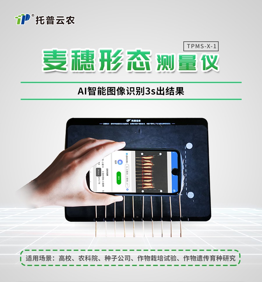 麦穗形态测量仪 麦穗形态测量仪
