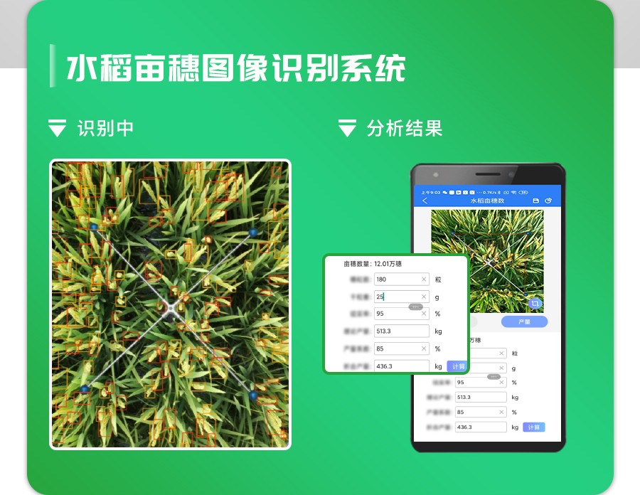 水稻亩穗数测量系统 水稻亩穗数测量系统