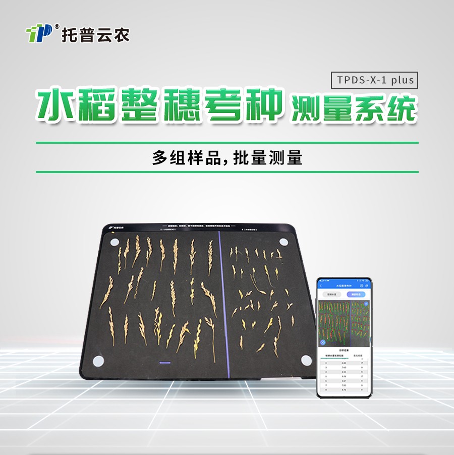 水稻整穗考种测量系统 水稻整穗考种测量系统