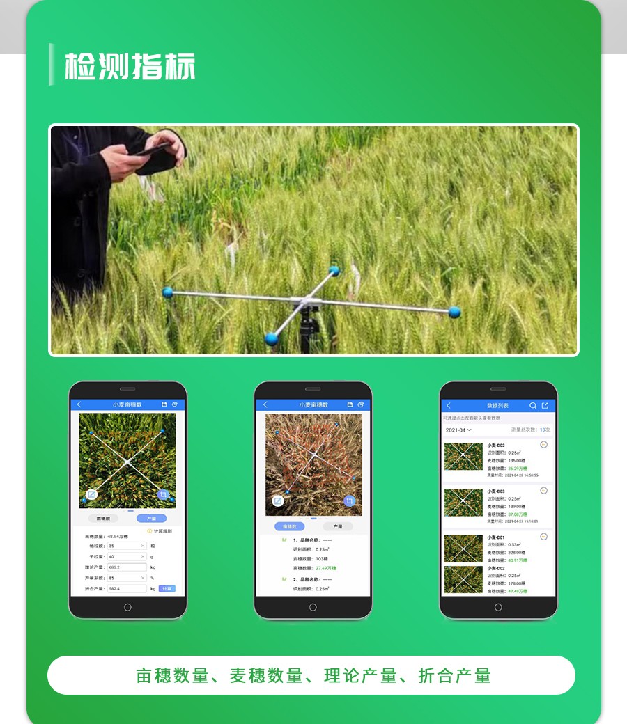 小麦亩穗数测量仪 小麦亩穗数测量仪