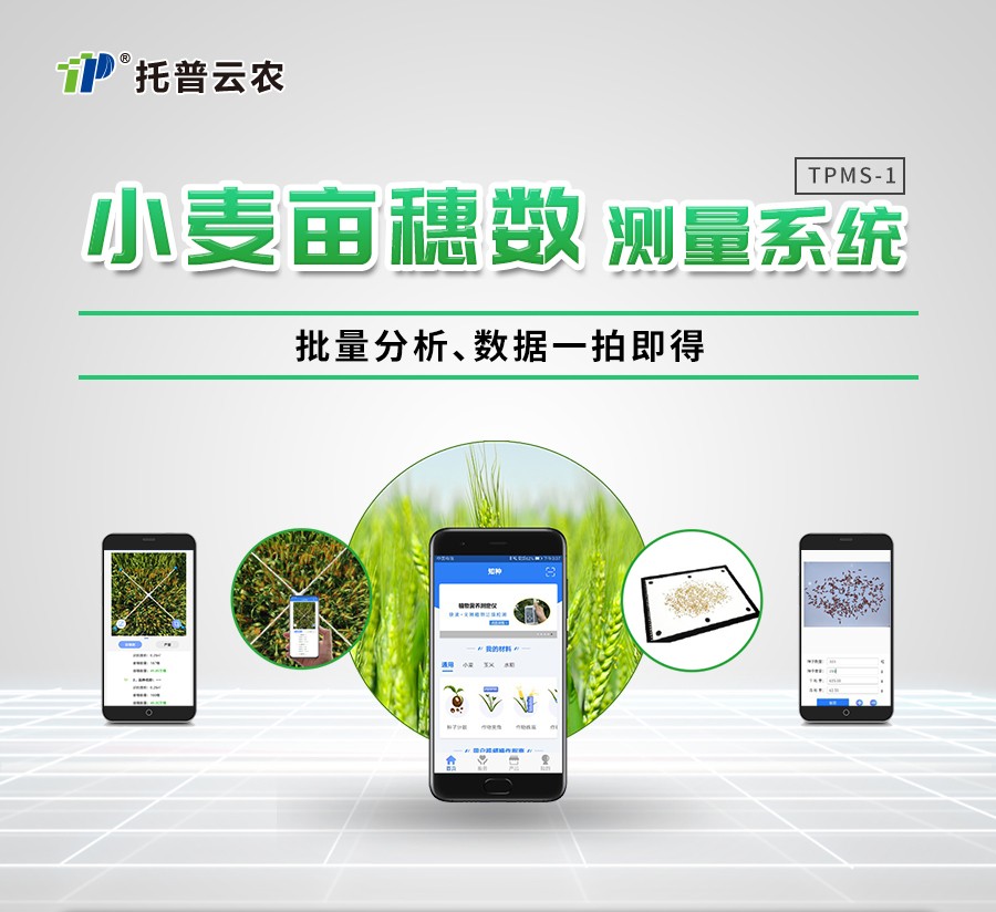 小麦亩穗数测量仪 小麦亩穗数测量仪