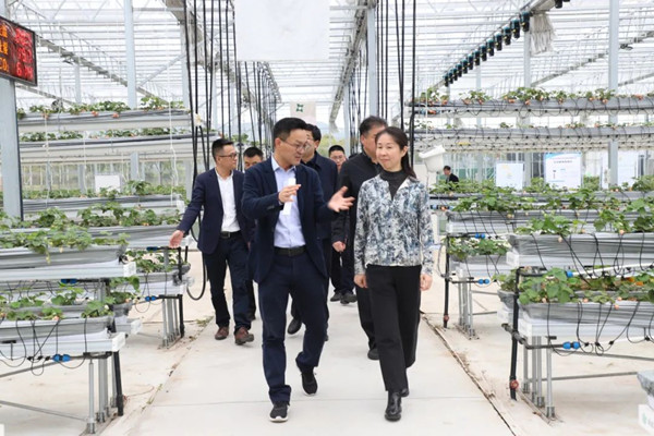 1680758381497509.jpg C_副本.jpg