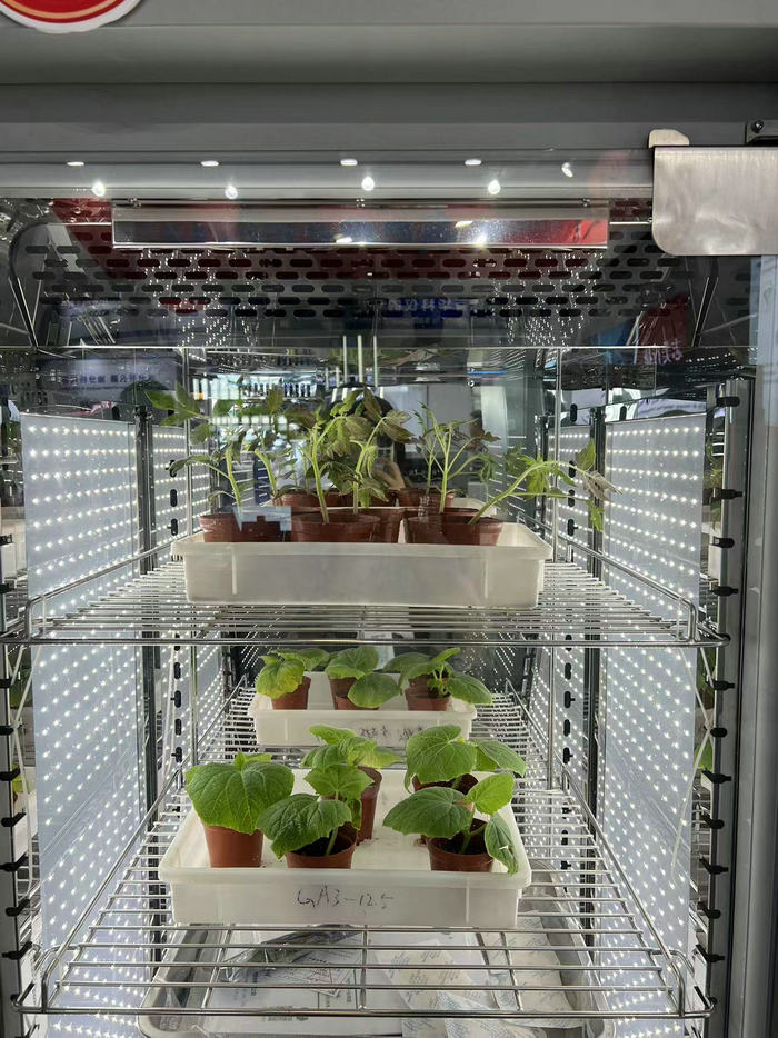 1689152435755077.jpg 77.jpg