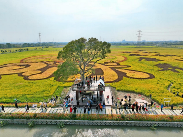 1711091644976478.png 2.png