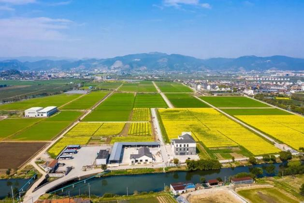 1711091675642745.png 3.png