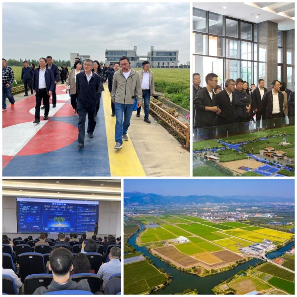 1714465332159670.jpg SEO (5).jpg