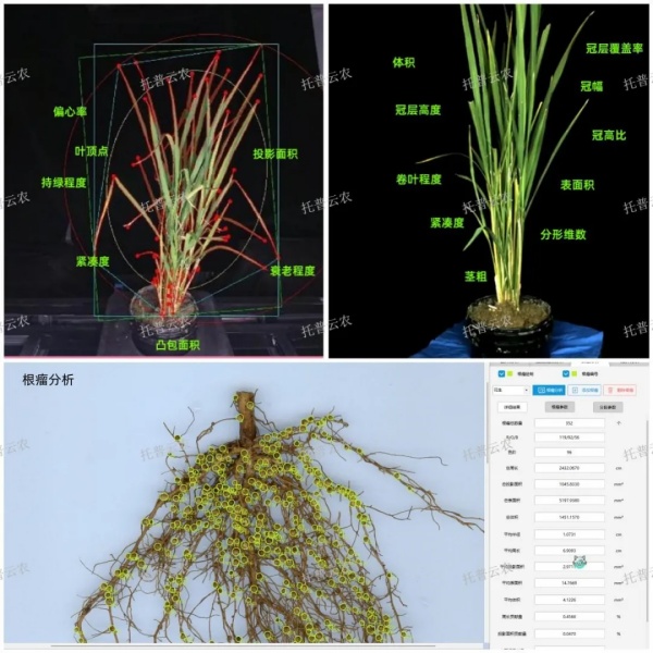 1723800320454395.jpg 图片4_副本.jpg