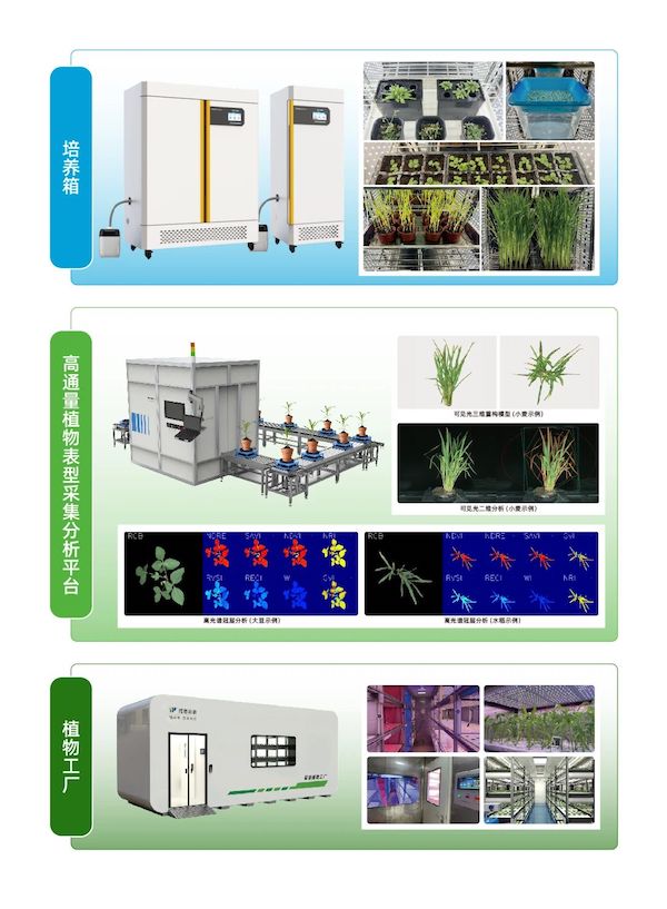 1731663012413888.jpg 3.jpg