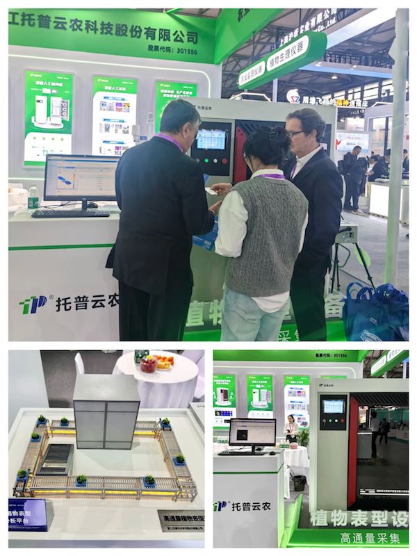 1732000790219156.jpg 4.jpg